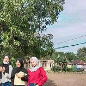 Imha'anack Menxediri Setia Untukmu profile icon