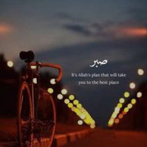 Syarifah Hanum Daulay profile icon