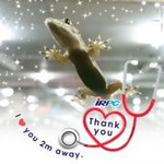 Chobboon Chaikasem profile icon