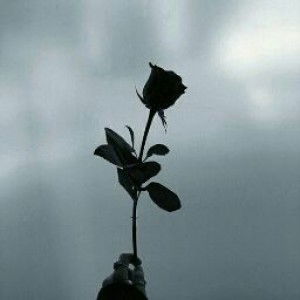 girls srtng profile icon