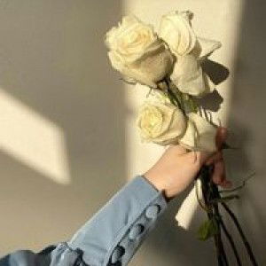 Opy Novianti profile icon