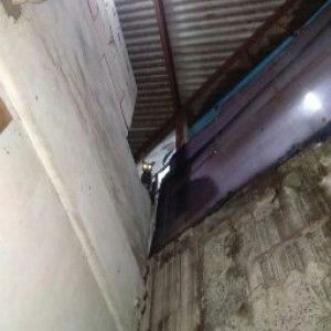 Joshua Lemuel profile icon