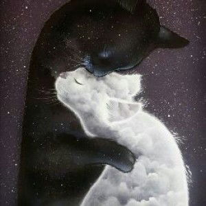 Shahana Geronimo profile icon