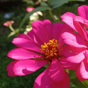 Eunike Puspita profile icon