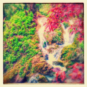 Syafriana profile icon