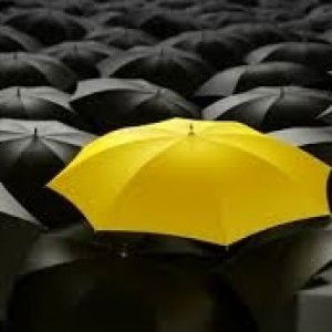 Cindy Anantasari profile icon