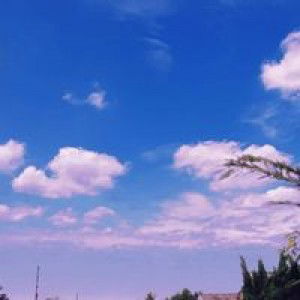 Calon Ummah profile icon