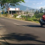 Mega Wahyu Istianingsih profile icon