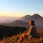 Tri Handini profile icon