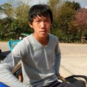 เด็กเลี้ยง วัว profile icon