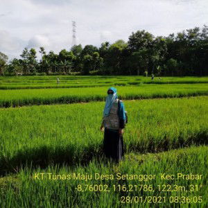 Baiq Annisya Desiana profile icon