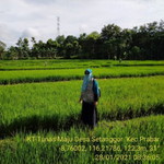 Baiq Annisya Desiana profile icon