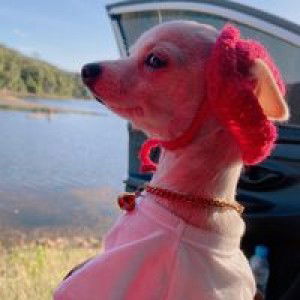 คุณหมอบอกว่า ไม่ให้กินเนื้อสัตว์ profile icon