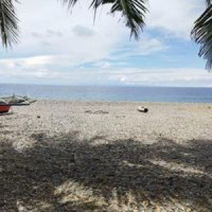 Yuli Yulianne profile icon