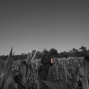 Vita Rinjani profile icon