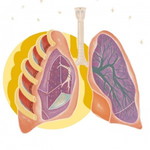 Fairuz Rifani profile icon