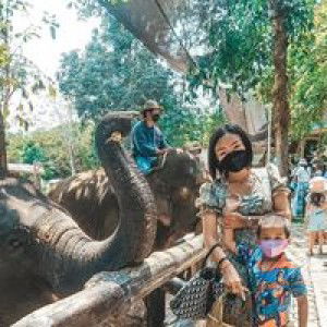 Kru Pat Weerapatra profile icon