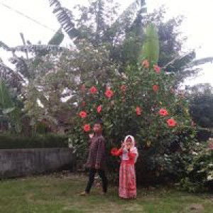 Xaveria profile icon