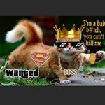 Destroyer YT profile icon