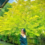 Parinyaporn TonAoii Sr. profile icon