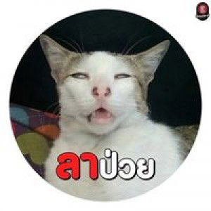 Ploy Kamonrat Naithong profile icon