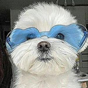 Joanne Mae Estioko profile icon