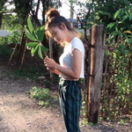 Chattraporn Yodkeaw profile icon