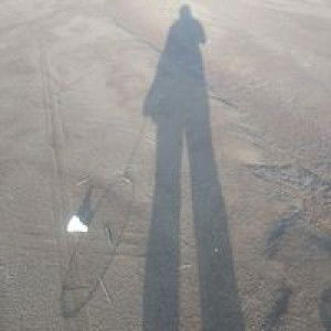 Ai Revi NL profile icon