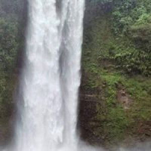 Fachri AlFatih profile icon