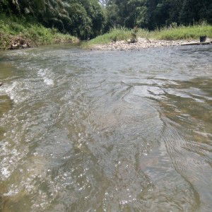 MIYOKO Minami profile icon