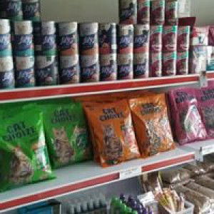 Nur AsiKin profile icon