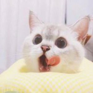 หวาน เย็นน. profile icon