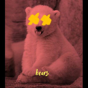 bearpolar profile icon
