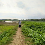 Dwi Lestari profile icon