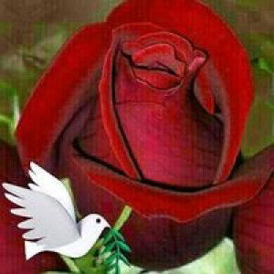 cucuncunayah profile icon