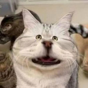 อัญ เอ๊ง profile icon