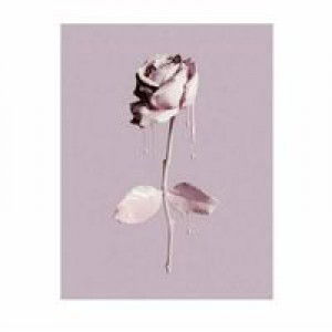 Anha Kurnia profile icon