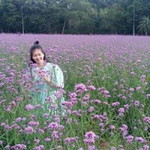 Boonsita Buawan-ngam profile icon