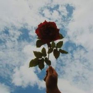 ศิริพร สีดํา profile icon