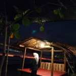 Ajeng Apriyani profile icon