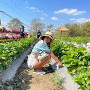 Panitta Kongsuk profile icon