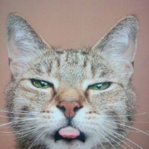 iyiiss iyis profile icon