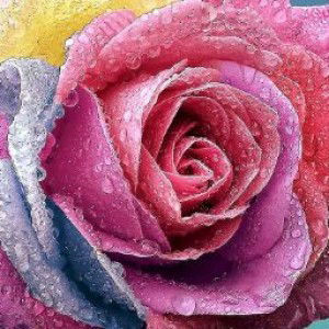 Afifah Utami profile icon