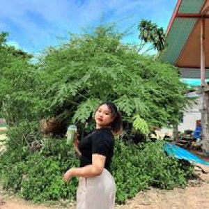 ภัทรียา ย้ายหน่าย profile icon