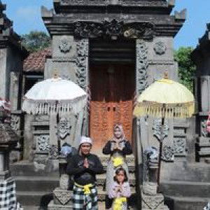 Maya Sari Widodo profile icon