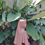 Rizka Nur Oktaviana profile icon