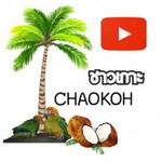 ชาวเกาะ chaokoh profile icon