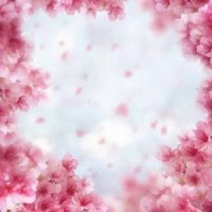 Rita Rahayu profile icon