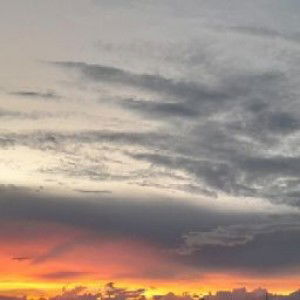 nurul fitroh profile icon