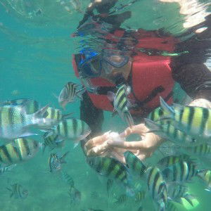 Bellatrik 97 profile icon